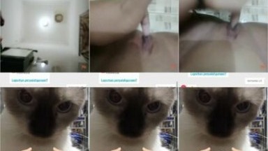 Bokep Indo Asian Adult Chinese videos New 116 - Bokepsin